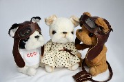 _DSC0339.jpgм.jpg