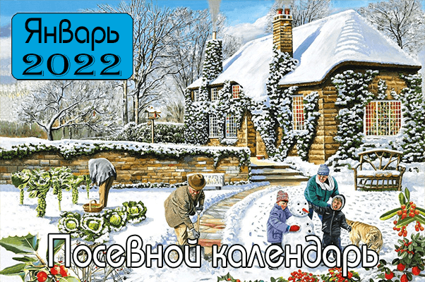 ЯНВАРЬ-2022-Посевной-календарь.png
