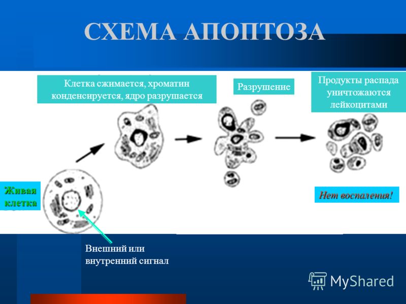 0d8cebca4ea027127fdc19f338a57a95.jpg