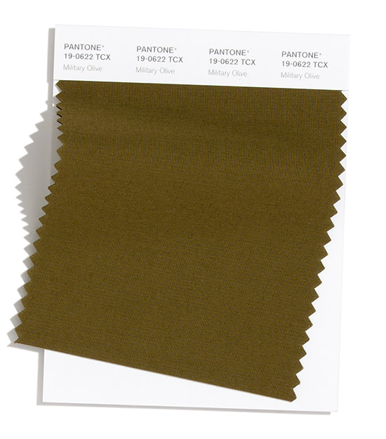 Pantone-Fashion-Color-Trend-Report-New-York-Autumn-Winter-2020-Article-Swatches-Military-Olive.jpg