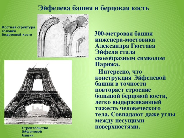 405ba7b5d361b89cda3869268e23cf1f.jpg