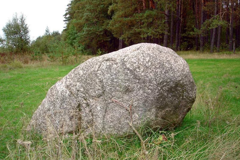 Сколько живет камень. Валун «большой камень» Кутишкинский. Земля с валунами. Валун «Гомсин камень». Камень обыкновенный.