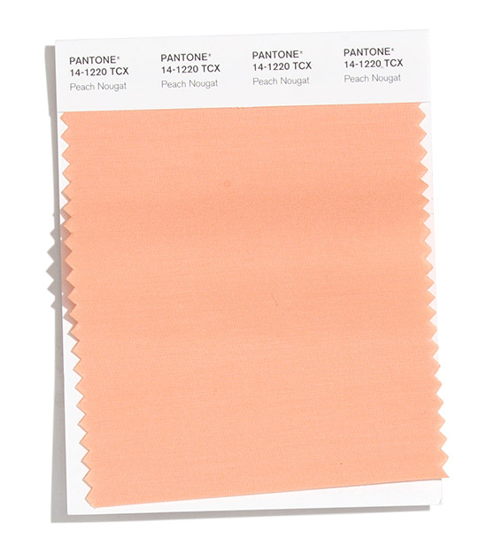 Pantone-Fashion-Color-Trend-Report-New-York-Autumn-Winter-2020-Article-Swatches-Peach-Nougat.jpg