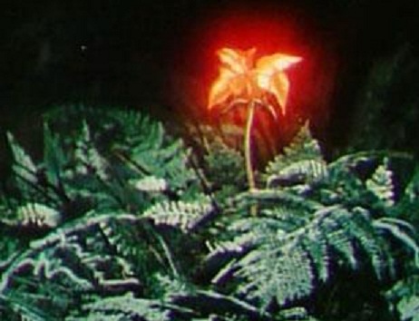 68e0b456f0b0ff00bd46bcc7d9a81bfe.jpg