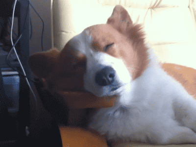 6952ecc840b288a2f82d0deb9c58502c.gif