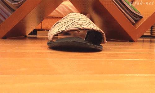 6d9108ecac42456421a777df5440486e.gif