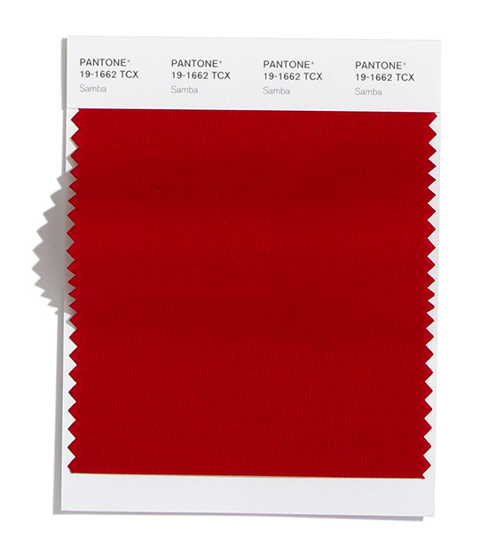 Pantone-Fashion-Color-Trend-Report-New-York-Autumn-Winter-2020-Article-Swatches-Samba.jpg