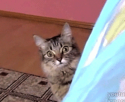 7e89d31f90d7b88e58f8fb8c83c33785.gif