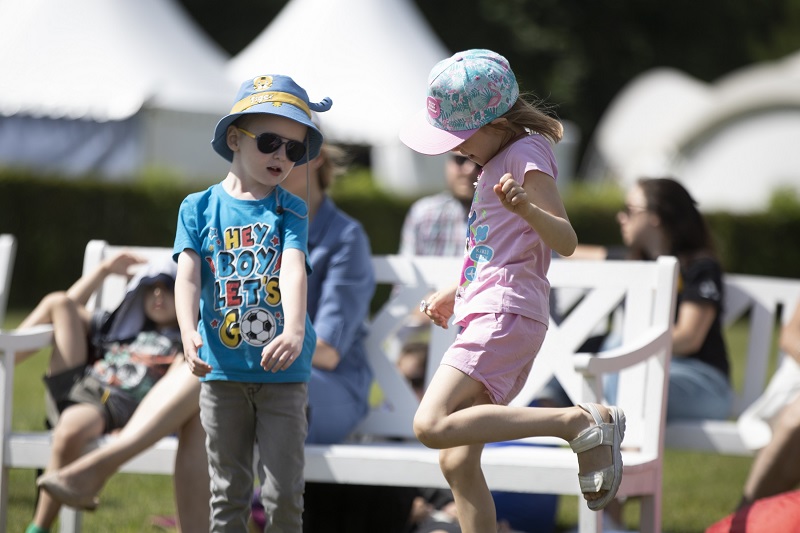 Дачное Царицыно_1.jpg