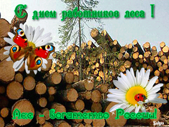 8eb872d50bc1108179bf7a0d15766da5.gif