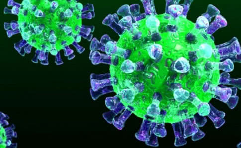 36b0550-koronavirus.jpg
