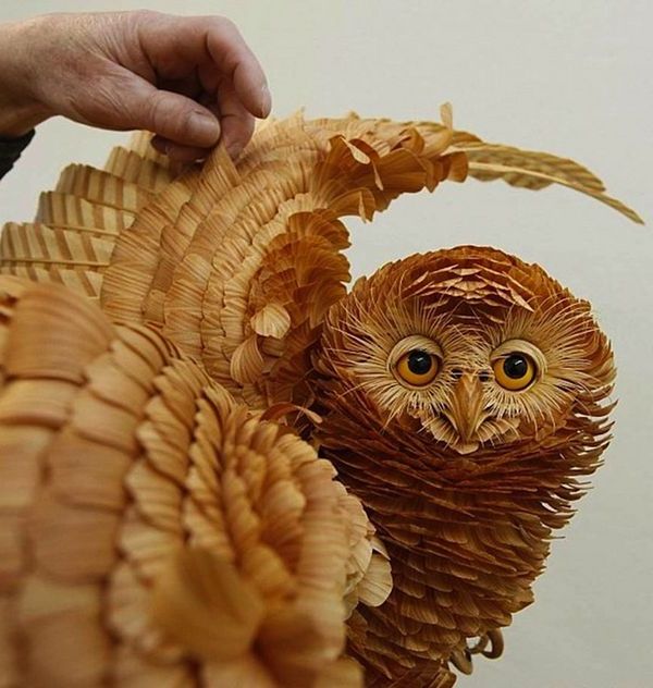 ac332cb175bd3ac56a69a87005f04be7.jpg