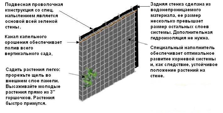 cc0670e8b0c46cd5620cbbd817b02376.jpg
