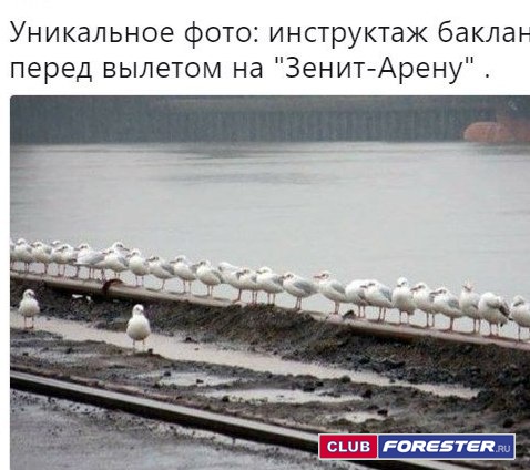 cd02c8912d9029b162eacd283c37b733.jpeg