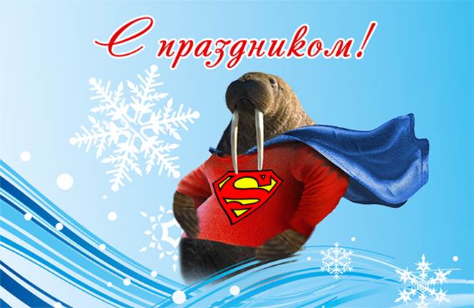 Картинки чтобы, открытки на 24 ноября