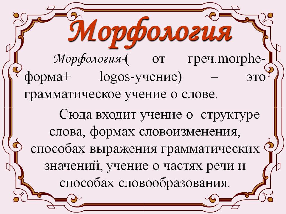 Морфологический анализ слова она. Морфология. Что изучает морфология. Морфология презентация. Морфология это в русском языке.