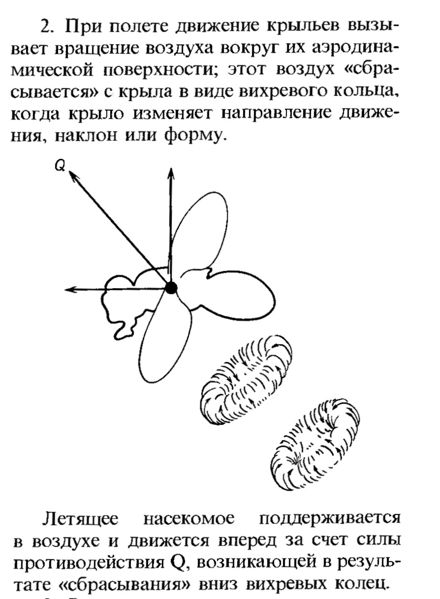 Аэродинамика шмеля схема