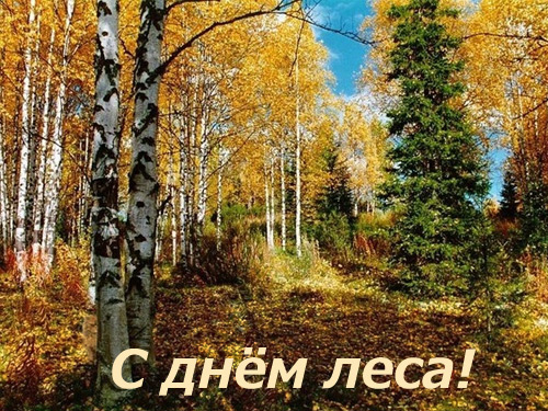 fd5676cba667138205125034988a9329.jpg