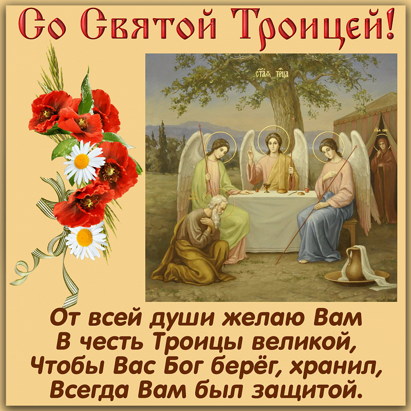 5cfe33f99c783.jpg