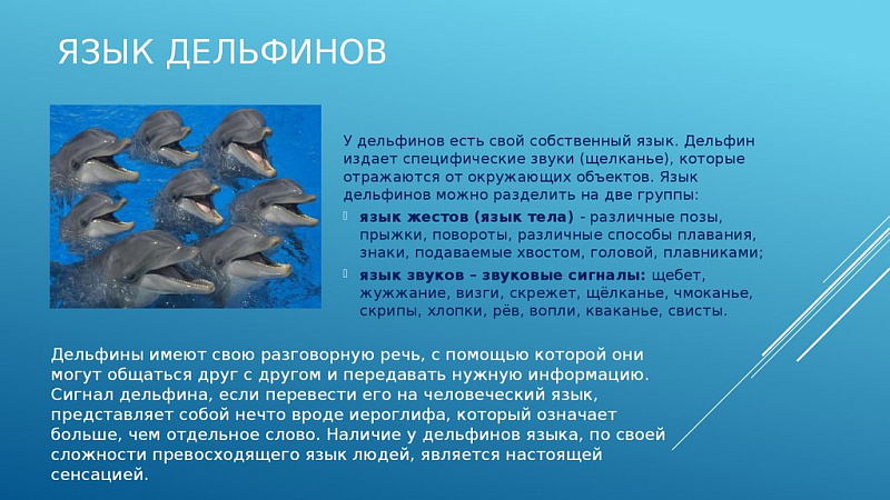 29686b487328009fcc603894c8de099a.jpg