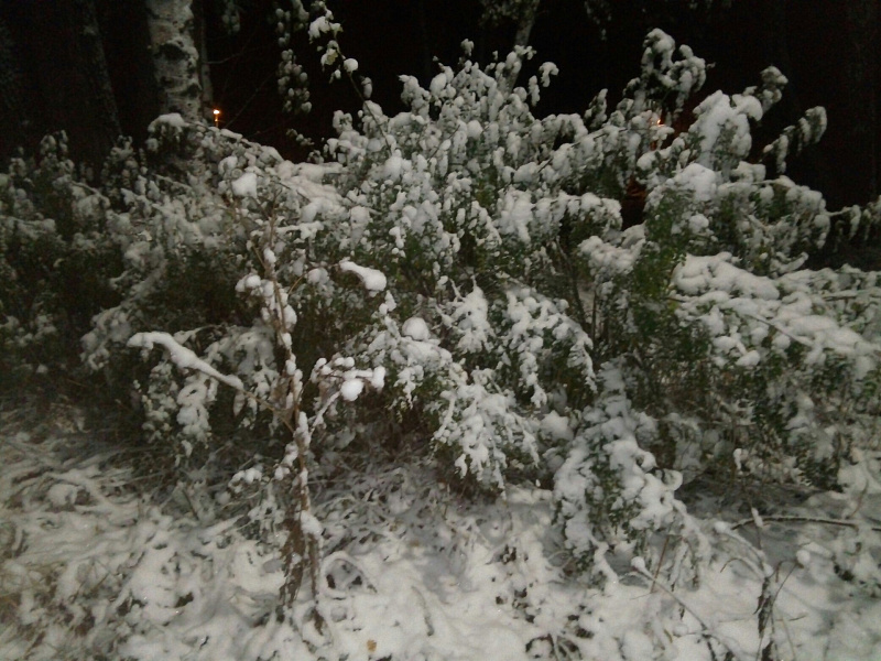 29f1de7ef560583ed3c5a404641ba06c.jpg