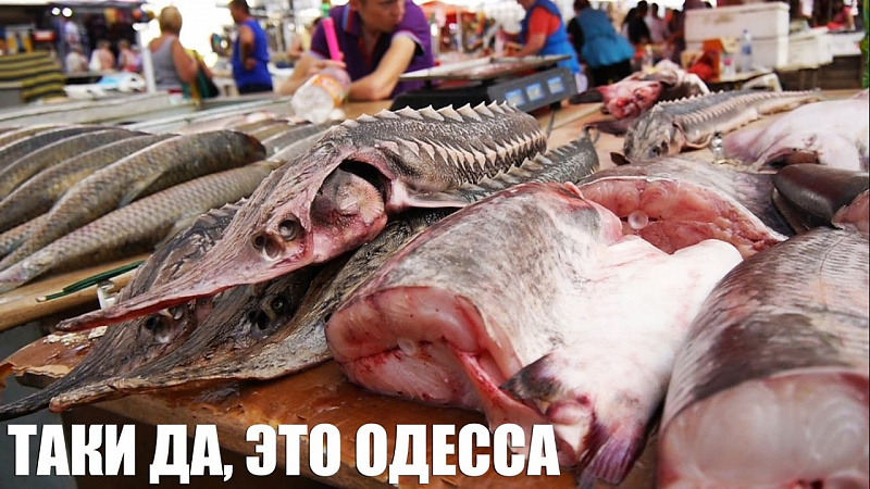 3155d8fd67ba2223f8aeeaabbccbf3e7.jpg
