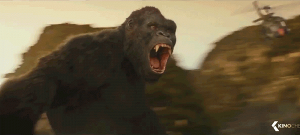 586bd30575bfa8b134aecbdd678b8fa0.gif