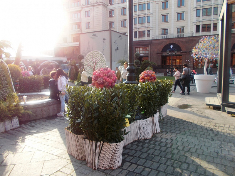 a25c6f14a46dfc93cd7e1ea1d180b89a.JPG
