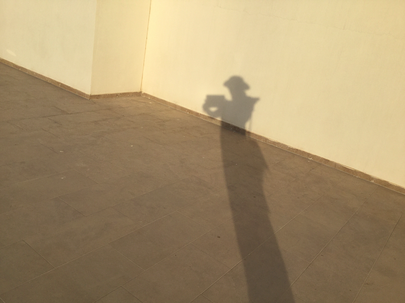 a335bab841ab2eb2d1a1040dae55f1fe.png