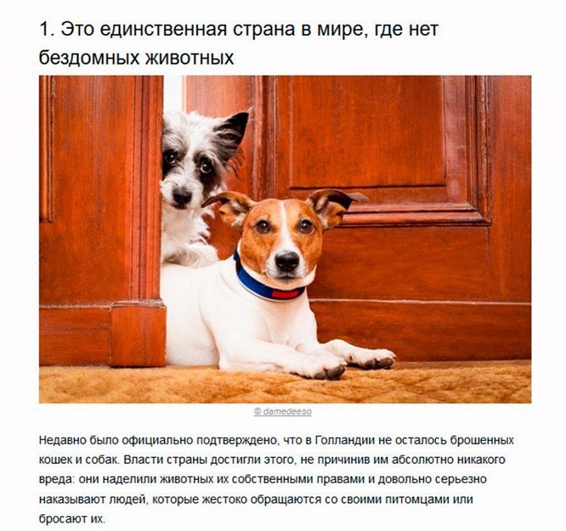 c40ad29b1d14760b76e8261ffa7f72de.jpg