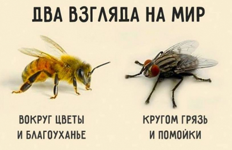 df8667ac9d143aaaeb350f314c272f43.jpeg